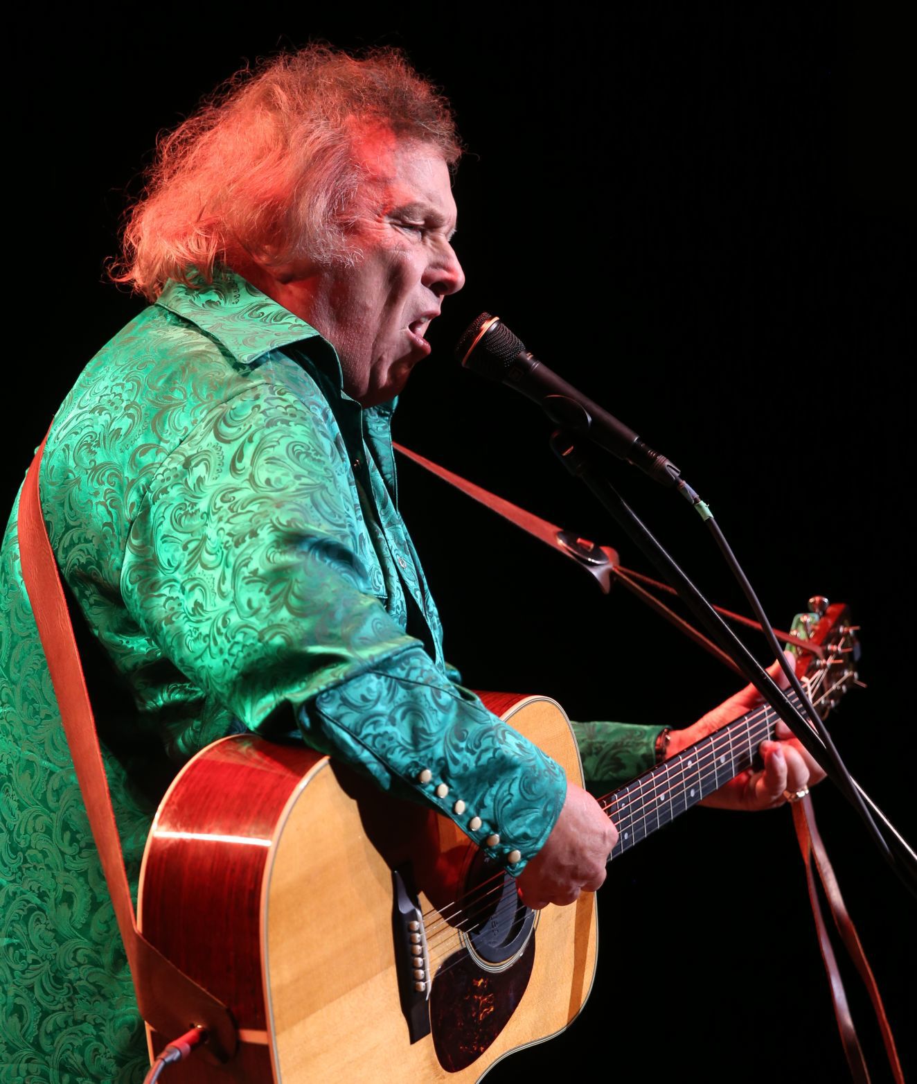 Don McLean